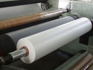 Polymeric membrane